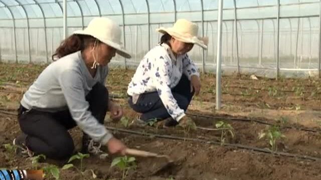 五台:保利集团实帮实扶 稳定就业助力脱贫