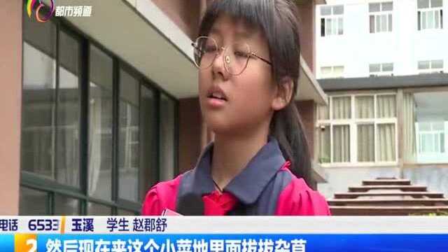 学会珍惜!玉溪小毕业生上“最后一课”