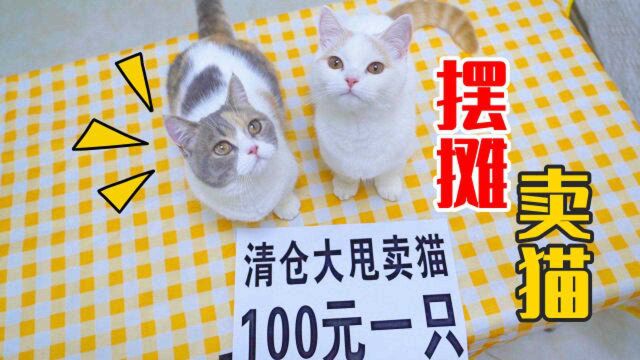 摆摊卖猫100元一只,会有人买吗?结果哄抢一空!