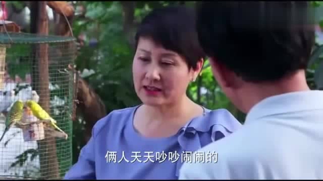 爱情万万岁:孙文娟事情结束!张凯丽和韩童生还没和好,互相调侃