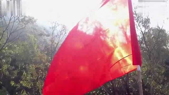 反映沭阳,淮海抗日的电视机《游击兵工厂》拍摄花絮现场震撼来袭