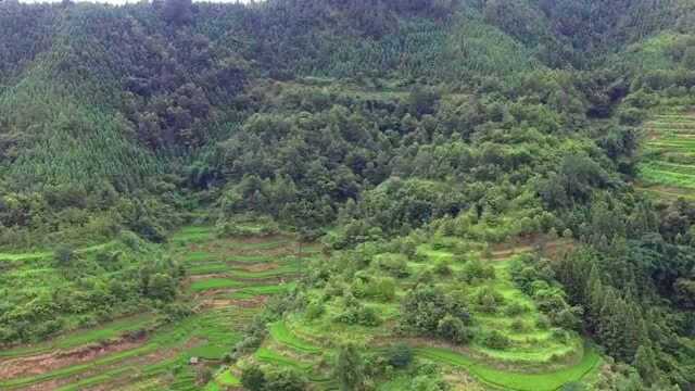 此山是难得的风水大地,此地正穴无人点,穴位在哪里你能看出来吗