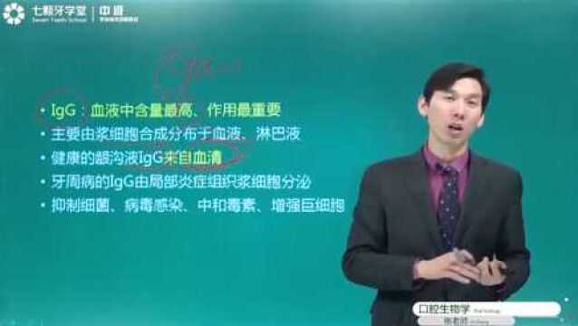 【口腔主治】口腔免疫学—七颗牙