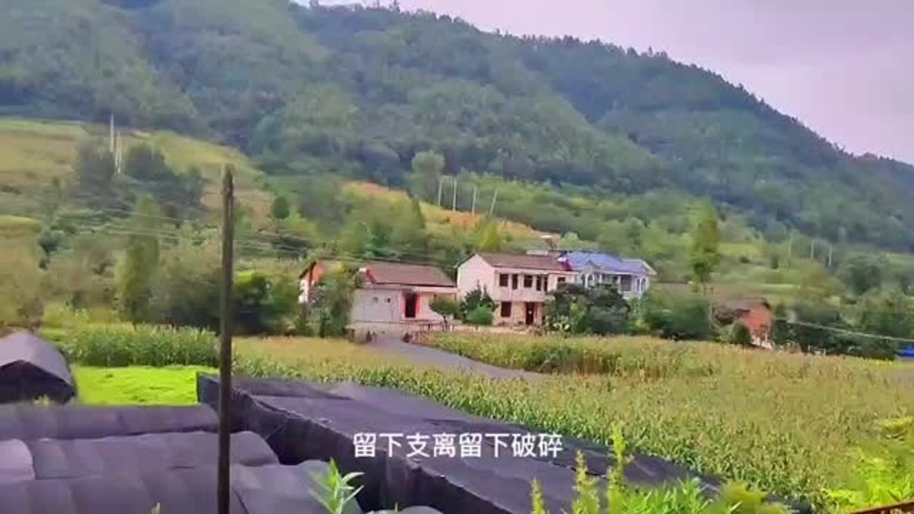 宝成铁路最慢绿皮火车,6064次燕子砭至略阳,嘉陵江两岸景色宜人