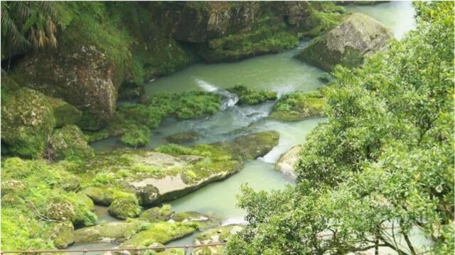 避暑圣地,你去过台湾山里的杉林溪吗?