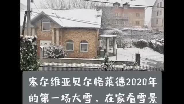 2020年塞尔维亚的首都贝尔格莱德的第一场雪,你觉得美吗!