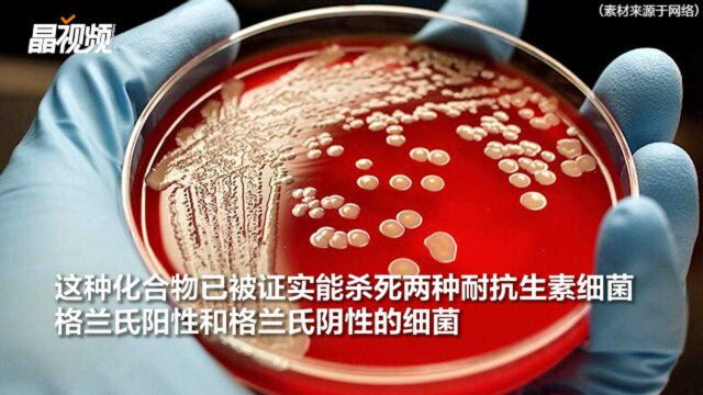 “超级细菌”有了克星!新型化合物能杀死两种耐药病菌