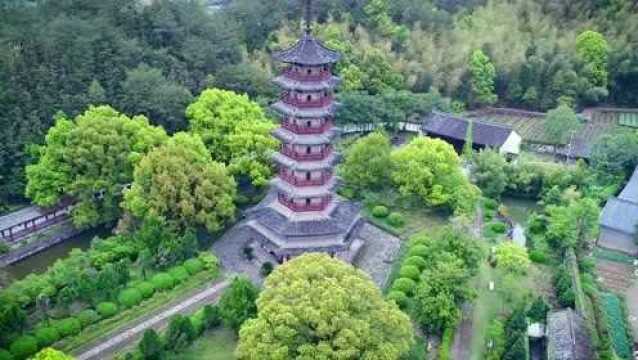 《江南秘境,田园松阳》全域旅游示范县创建宣传片震撼出炉!