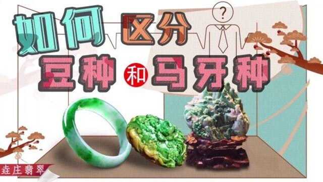 第十九课什么是翡翠的豆种和马牙种#玉石#