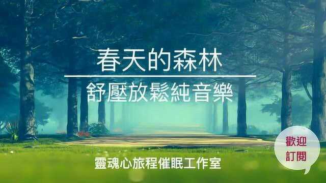 春天的森林,一小时舒缓放松纯音乐,疗愈减压无忧,大自然天籁之音.#唐加文#