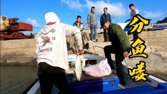 舟山海钓,钓上来的都是高价值的经济鱼类,今天的收获挺不错