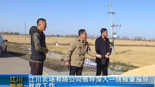 江川农场有限公司领导深入一线检查指导秋收工作