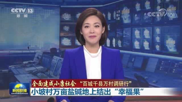 【全面建成小康社会“百城千县万村调研行”】小坡村万亩盐碱地上结出“幸福果”