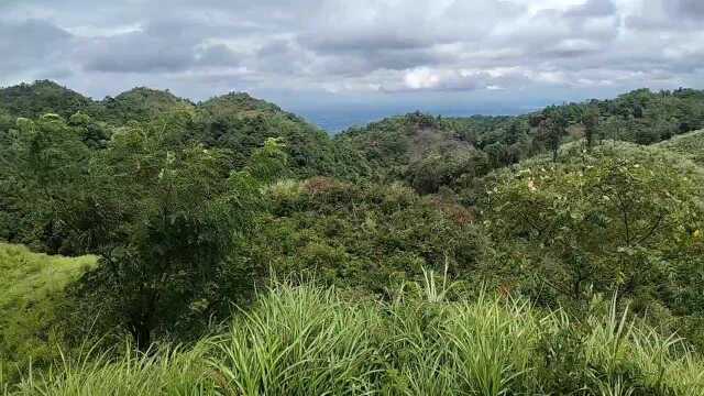 德缘堂了元先生来宾市地区《莲花地》