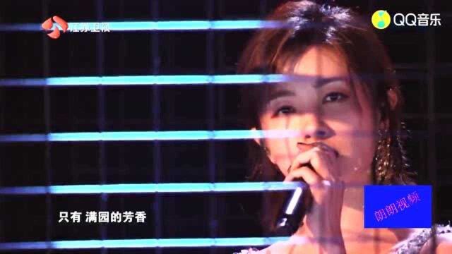 万茜乐园 (Live)音乐好听