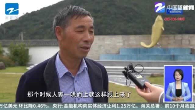 走进我们的小康生活 浙江大黄鱼养殖第一村的农业产业发展路