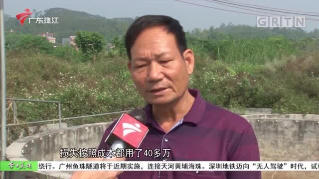 阳春:施工便道污染大 鱼塘难养殖