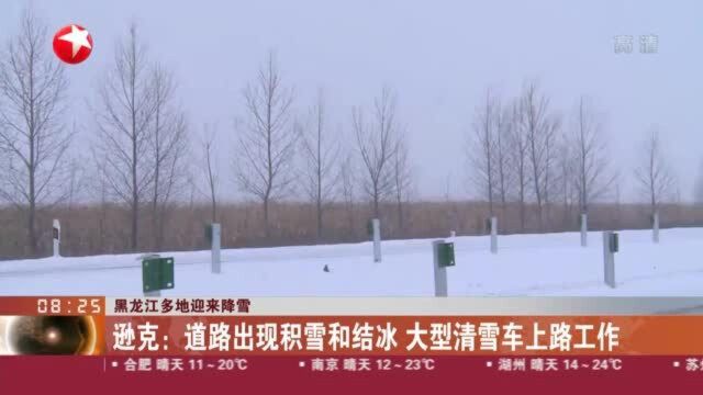 黑龙江多地迎来降雪