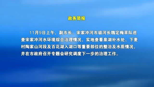 1110 魏定梅政务简报