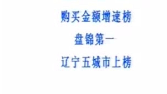 辽宁人登上全国购买力榜单,沈阳排名第一,最爱买的是这些