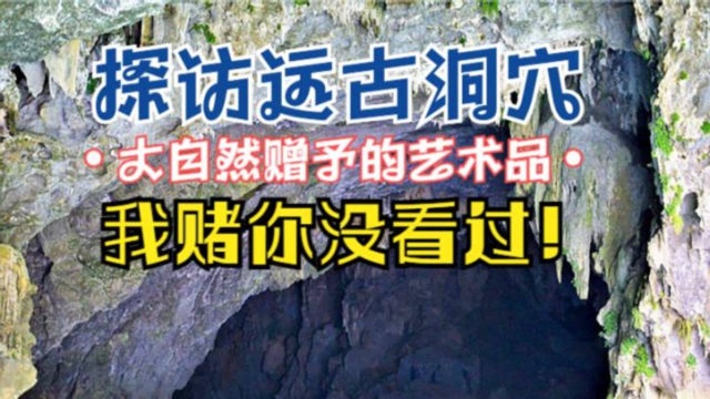 自驾游广西,进来看用几亿年打造的景色长寿乡《百鸟岩》!