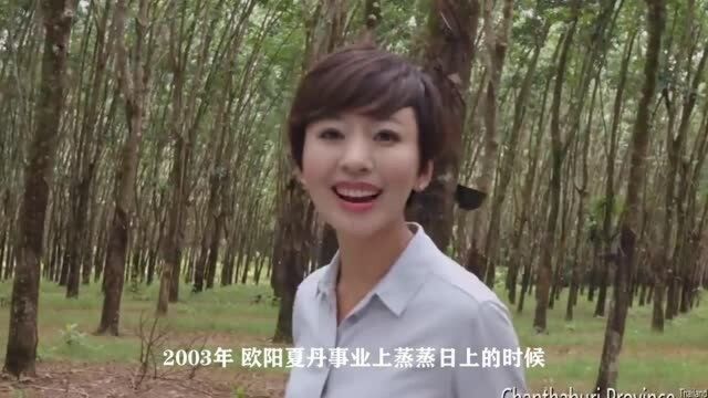 央视主持人欧阳夏丹:父亲早逝母亲患癌,43岁仍单身,神秘消失引热议!