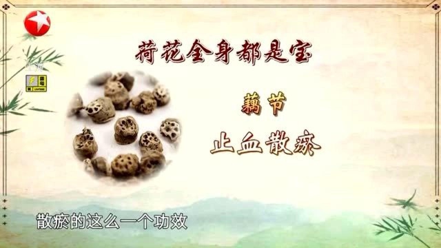 藕节能够止鼻血!煮水代茶饮,坚持3到5天就能改善症状!