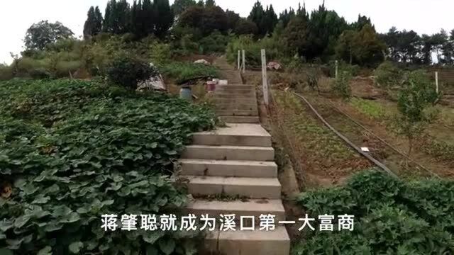 蒋介石父亲墓地非常简单,但是蒋母墓庄重宏大,看看为何差距这么大?