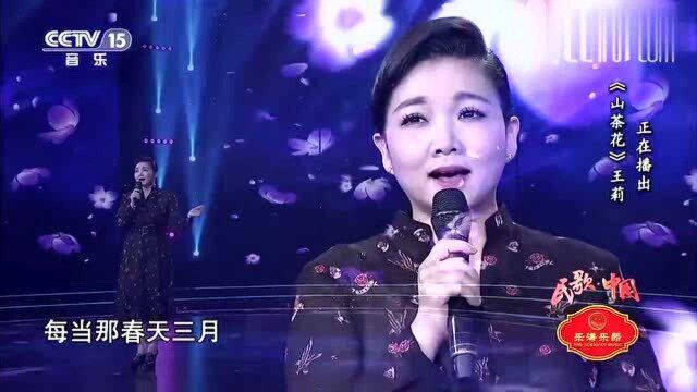 王莉演唱:《山茶花》经典的歌曲,声音太美了!