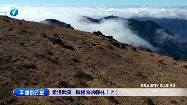 武夷山:海拔2160.8米,号称“华东屋脊”,带你探秘武夷原始森林!