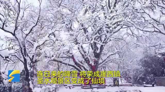 69秒丨人间难得几回寻!雪落之后,荣成圣水观美成了仙境