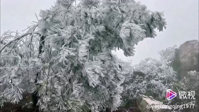 风景这边独好——2020年12月大余丫山雪景