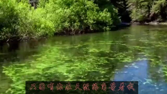 车继铃深情演唱《最远的你是我最近的爱》,唱出无尽的思念.