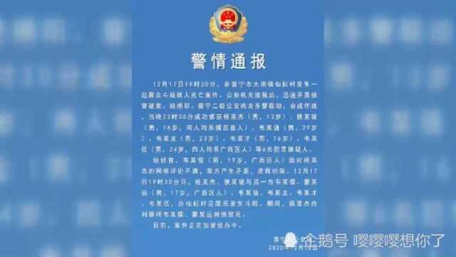 广东8人因网络评论约架 13岁少年刺死2人