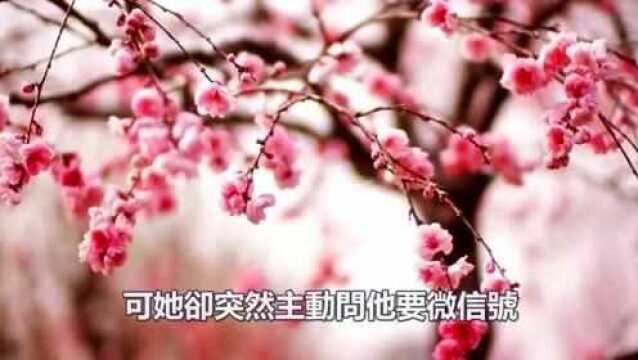 女上司带我出差,半夜发消息让我去见她,果然她早就开始算计我!