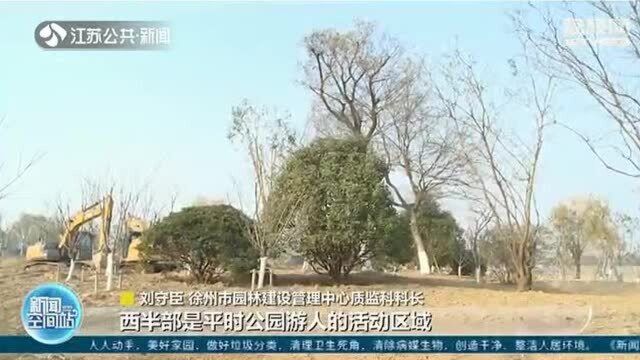 城市湿地公园紧锣密鼓建设中 徐州即将拥有最美“桃花源”