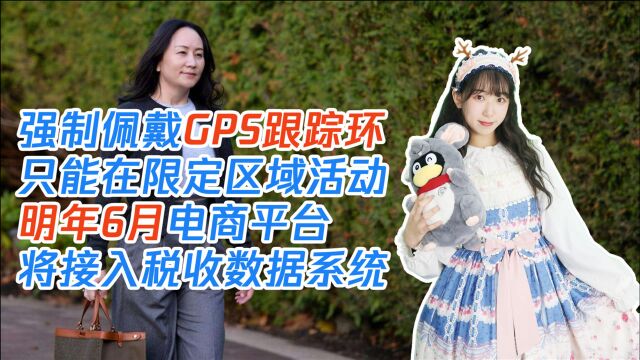 大公司晚报丨加拿大检方阻挠孟晚舟申请放宽保释;阿里辟谣元旦后补交电商税