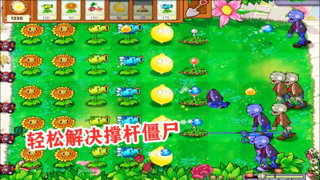 植物大战僵尸:寒冰射手加草团雷组合,轻松解决撑杆跳僵尸