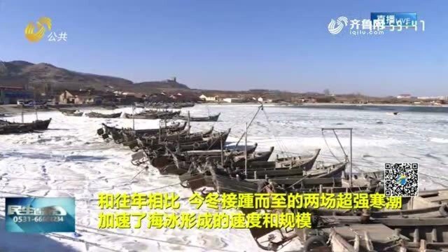 青岛胶州湾海冰面积扩大到104平方公里 渔民积极应对