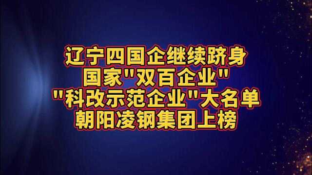 辽宁四国企继续跻身国家\