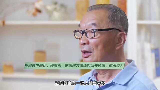 温铁军:千万人待业,发展国内大循环经济就是闭关锁国?你傻不傻