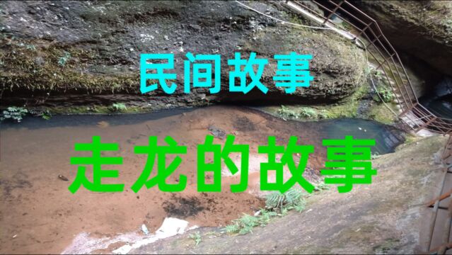 民间故事《走龙的故事》在我们家乡有一些关于龙的传说