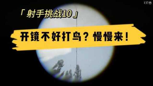 荒野大镖客射手挑战10用带镜筒的步枪杀死3只鸟