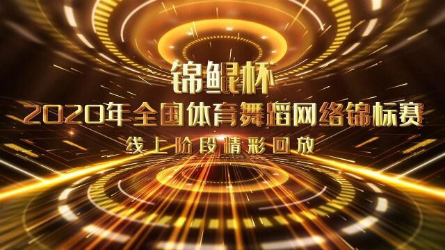 锦鲲杯2020年全国体育舞蹈网络锦标赛线上阶段精彩回放职业组标准舞(4)