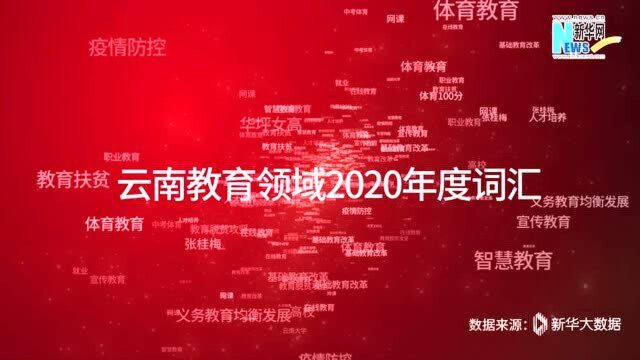 【2021云南两会】政协委员的年度关键词之“义务教育均衡发展”