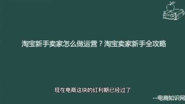 淘宝新手卖家怎么做运营?淘宝卖家新手全攻略