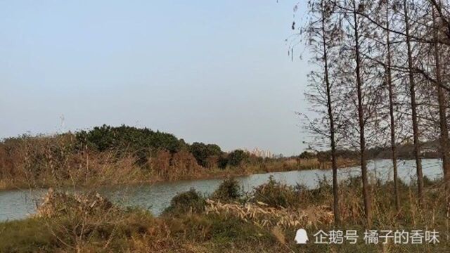 风景都是在路上下沙生态湿地公园