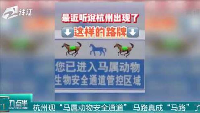 杭州现“马属动物安全通道”马路真成“马路”了