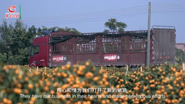 广州番禺区沙湾街道办新洲村村干部梁满坤:田地里长出幸福年花