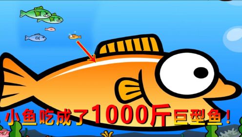 韩国大鱼吃小鱼 帮助小鱼慢慢长大 长成了1000斤巨型鱼！海牛大大解说